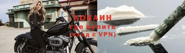 прущие грибы Абинск
