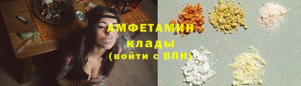 прущие грибы Абинск