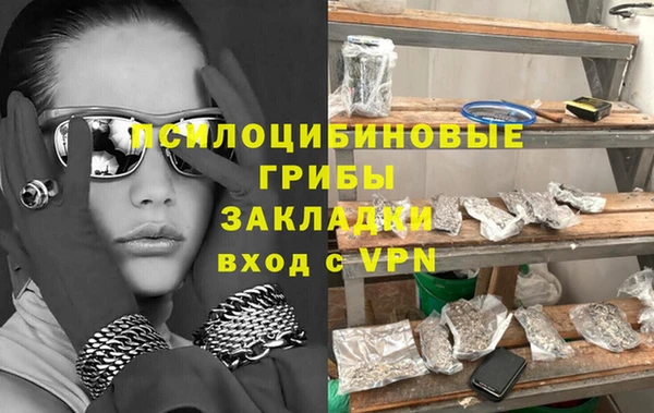прущие грибы Абинск
