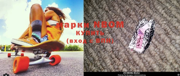 прущие грибы Абинск