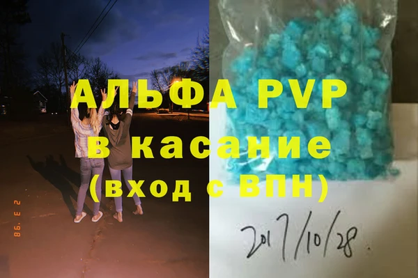 прущие грибы Абинск