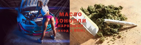 тгк Няндома